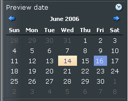 /upload/sdn5/developer/standard template/preview_date.png