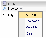 /upload/sdn5/reference/field reference/standard data types/file2.png