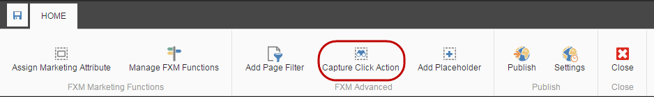 FXM dashboard Home tab