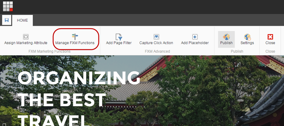 Home tab on the FXM Experience Editor ribbon